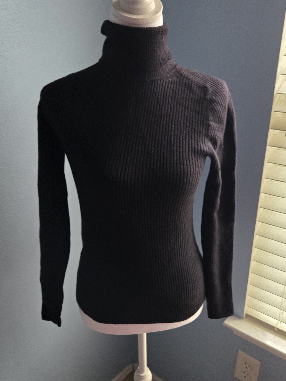 Everlane Black Ribbed Turtleneck Sweater